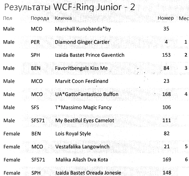 WCF Ring Kitten 23 апреля 2017 года