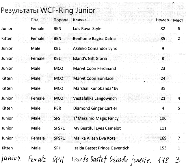 WCF Ring Kitten 22 апреля 2017 года
