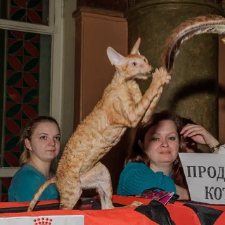 Фотогалерея 10