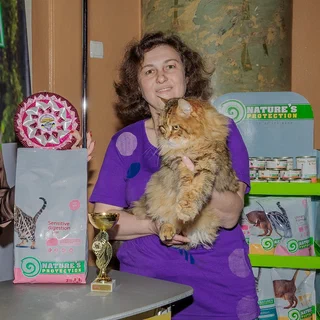 Фотогалерея 9