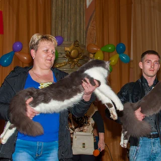 Фотогалерея 11