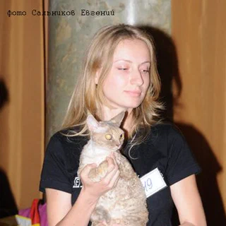 Фотогалерея 13
