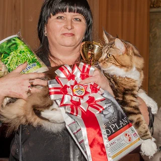 Фотогалерея 11