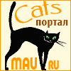 CATS-портал
